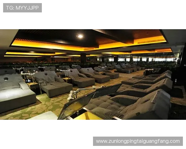 尊龙游戏大厅官网官方公告最新动态，第一时间掌握最新优惠活动信息