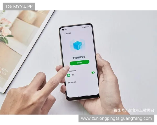 尊龙网址安全登录指南，保障您的个人信息安全与隐私保护