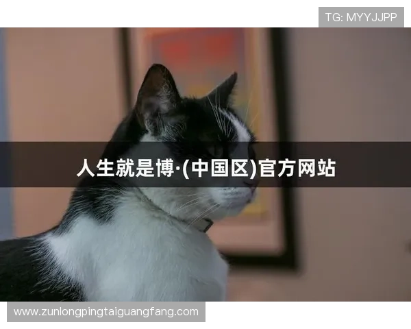 尊龙人生就是博电脑版登录：用户评价与反馈助力平台不断完善