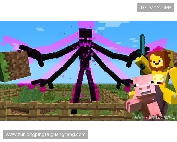 尊龙游戏：多样化游戏类型满足不同玩家的个性化需求