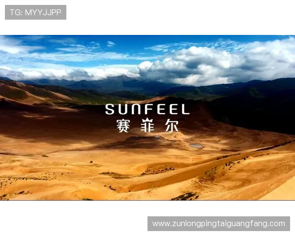 深度解析尊龙凯时平台官网的运营模式，揭秘背后的成功秘诀与故事